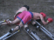 MTV Jackass: Combat sur �chasses